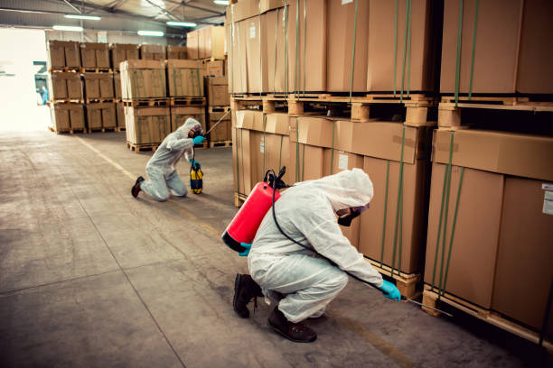 Best Affordable Pest Control Services  in North Bay Village, FL