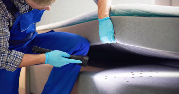 Best Bed Bug Extermination  in North Bay Village, FL