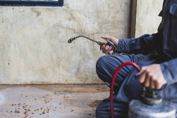Pest Control for Restaurants in North Bay Village, FL